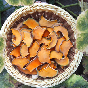 干南瓜片新鲜生南瓜干皮条窝瓜脱水干货铁锅炖食材500g