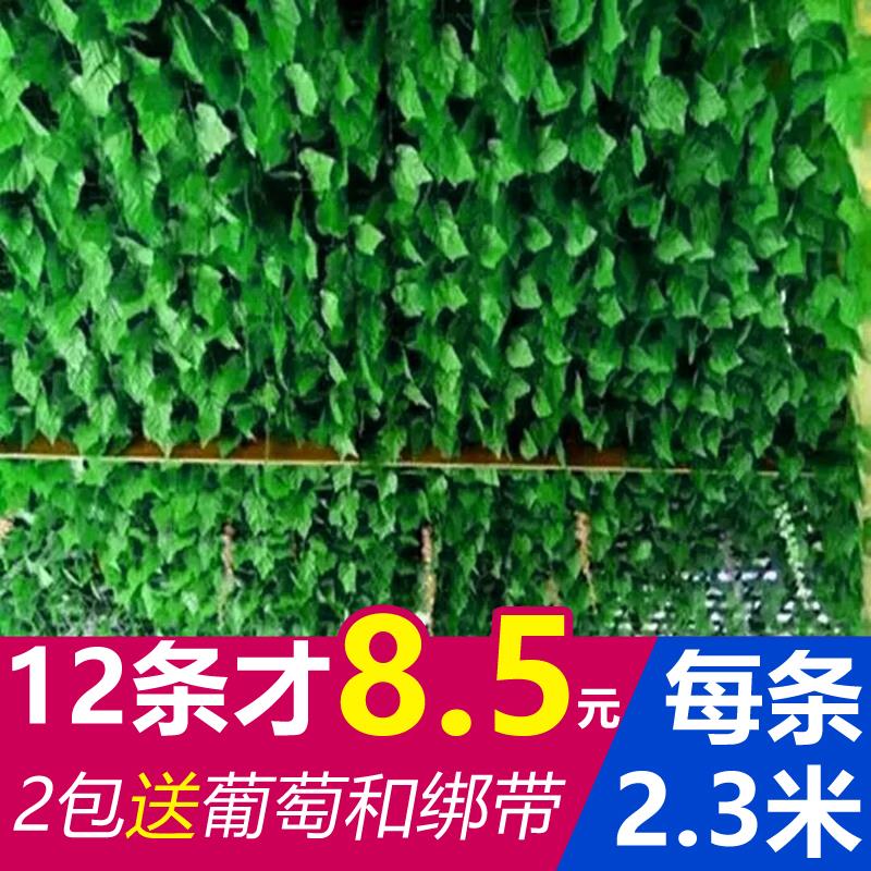 仿真葡萄叶藤条假树叶绿叶绿藤花藤蔓爬山虎塑料绿植管道吊顶装饰