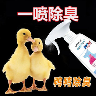 宠物鸭子除臭剂小芦丁鸡柯尔鸭去尿味小鸭子鸡分解屎尿骚异味神器