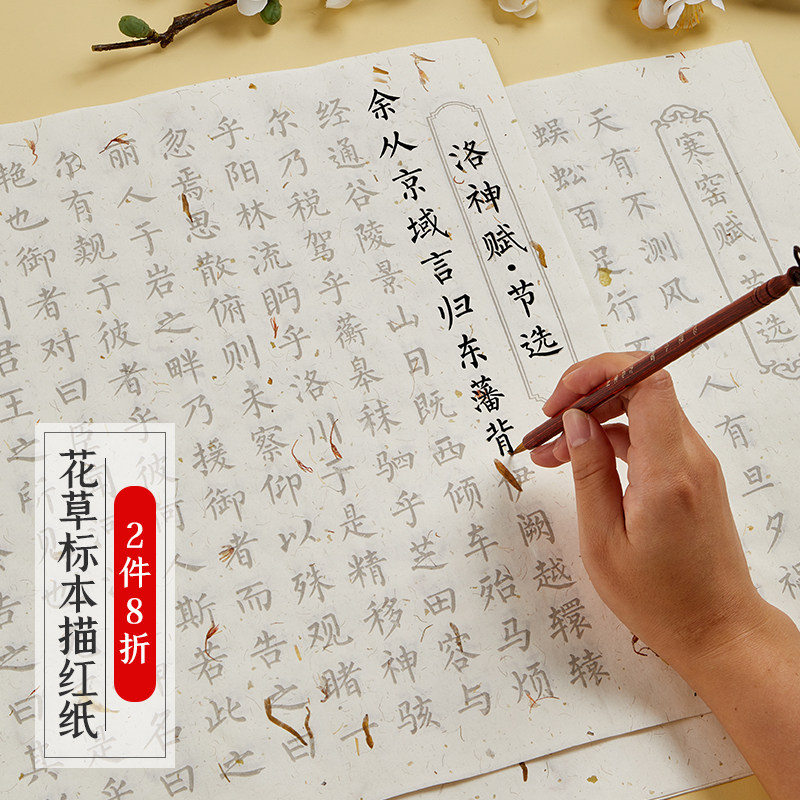 书法毛笔字初学者入门套装练习纸洛神赋滕王阁序寒窑赋小楷临摹宣纸描红成年软笔练字钢笔式毛笔专用字帖_虎窝淘