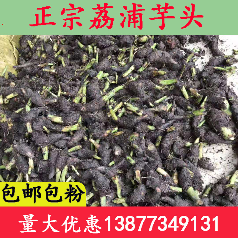 正宗荔浦芋头新鲜槟榔芋子香芋仔紫藤芋小芋艿大量农家种植粉糯