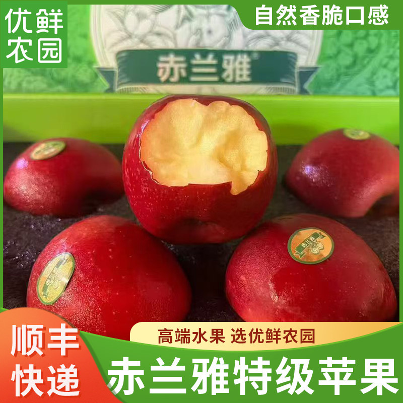 西北农林赤兰雅花香苹果脆甜赤龙苹果孕妇水果4斤装礼盒8个新鲜,水产肉类/新鲜蔬果/熟食,苹果,淘宝优惠券,粉丝福利购,淘宝优惠卷