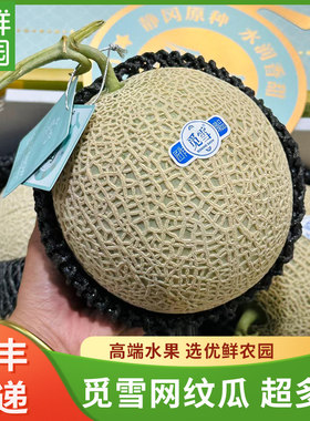 觅雪网纹瓜蜜瓜超甜2个装
