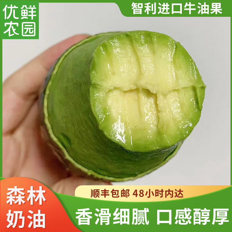 现货智利牛油果6个装特选进口新鲜水果鳄梨果宝宝辅食水果顺丰