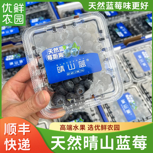 四川晴山蓝蓝莓高山会东天然花香蓝莓当季新鲜水果脆甜125g/盒