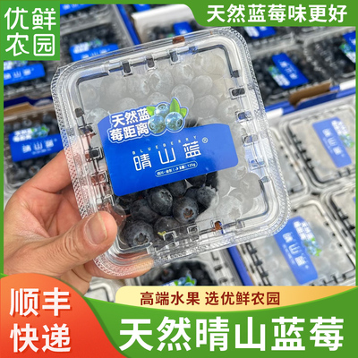 四川晴山蓝蓝莓脆甜带花香L25