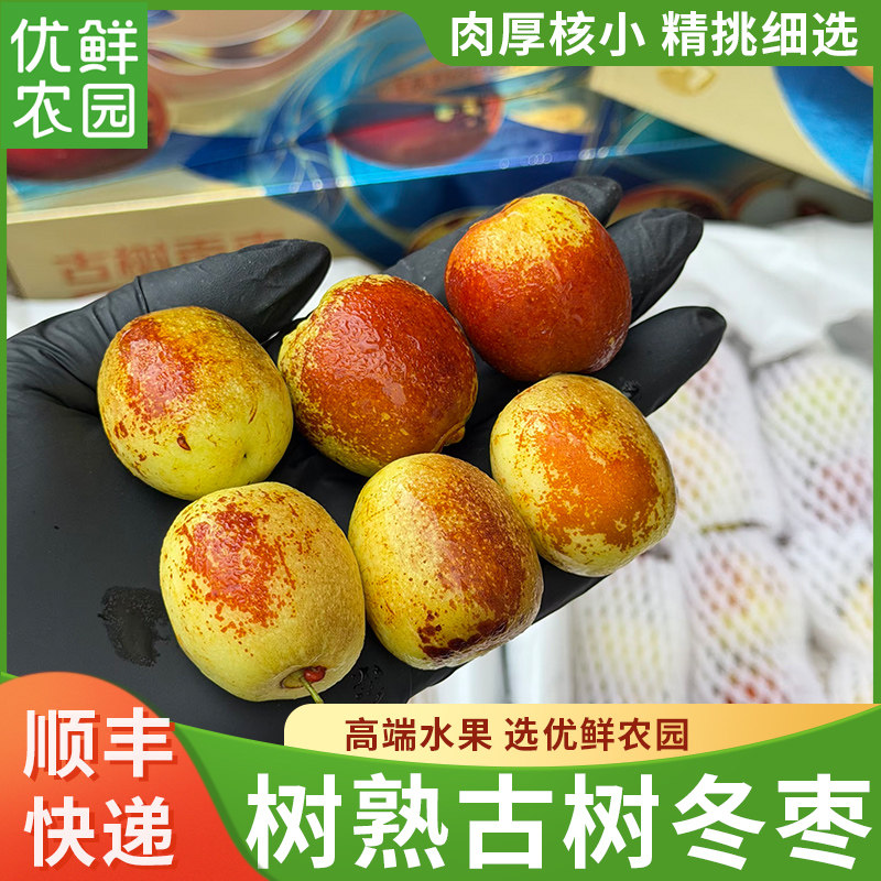 耕赐古树冬枣贡枣新鲜水果肉厚核小精挑细选水果枣蜜甜顺丰包邮