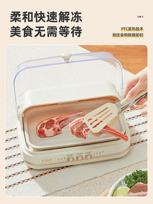 TER恒温解冻器解冻鲜肉牛排解冻导热板家用急速解冻盘食物解冻器