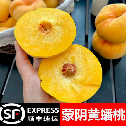 黄蟠桃新鲜水果整箱当季山东蒙阴黄金蟠桃应季桃子新鲜脆甜毛蟠桃