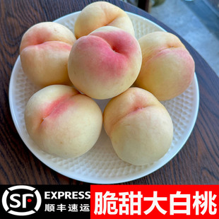 蒙阴大白桃新鲜水果整箱当季桃子新鲜山东硬桃脆桃孕妇水果现摘
