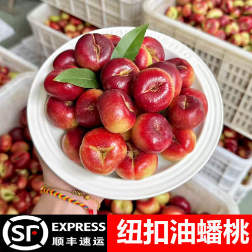 纽扣蟠桃新鲜水果当季整箱油蟠桃孕妇水果蒙阴蜜桃现摘桃子新鲜