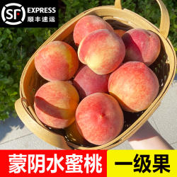 红脆桃新鲜水果当季整箱孕妇水果山东蒙阴蜜桃红毛桃水蜜桃不易软