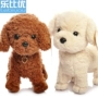 Mô phỏng chó đồ chơi Teddy dog ​​búp bê sang trọng đồ chơi chó lớn búp bê quà tặng đám cưới vuốt máy búp bê - Đồ chơi mềm đồ chơi cho bé 2 tuổi