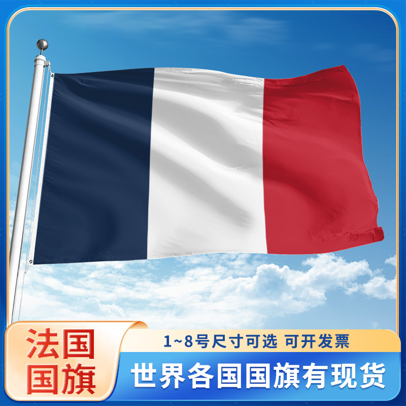 法国国旗3号4号5号6号户外旗手摇旗串旗办公桌旗室内会议签约旗帜外国旗万国旗小旗帜广场装饰吊旗落地旗