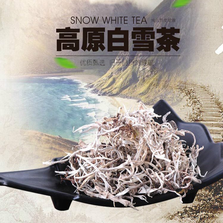 正宗西藏特产野生白雪茶红雪茶滋补佳品雪域高原产地直销