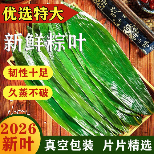 新鲜粽叶真空包装片片精选