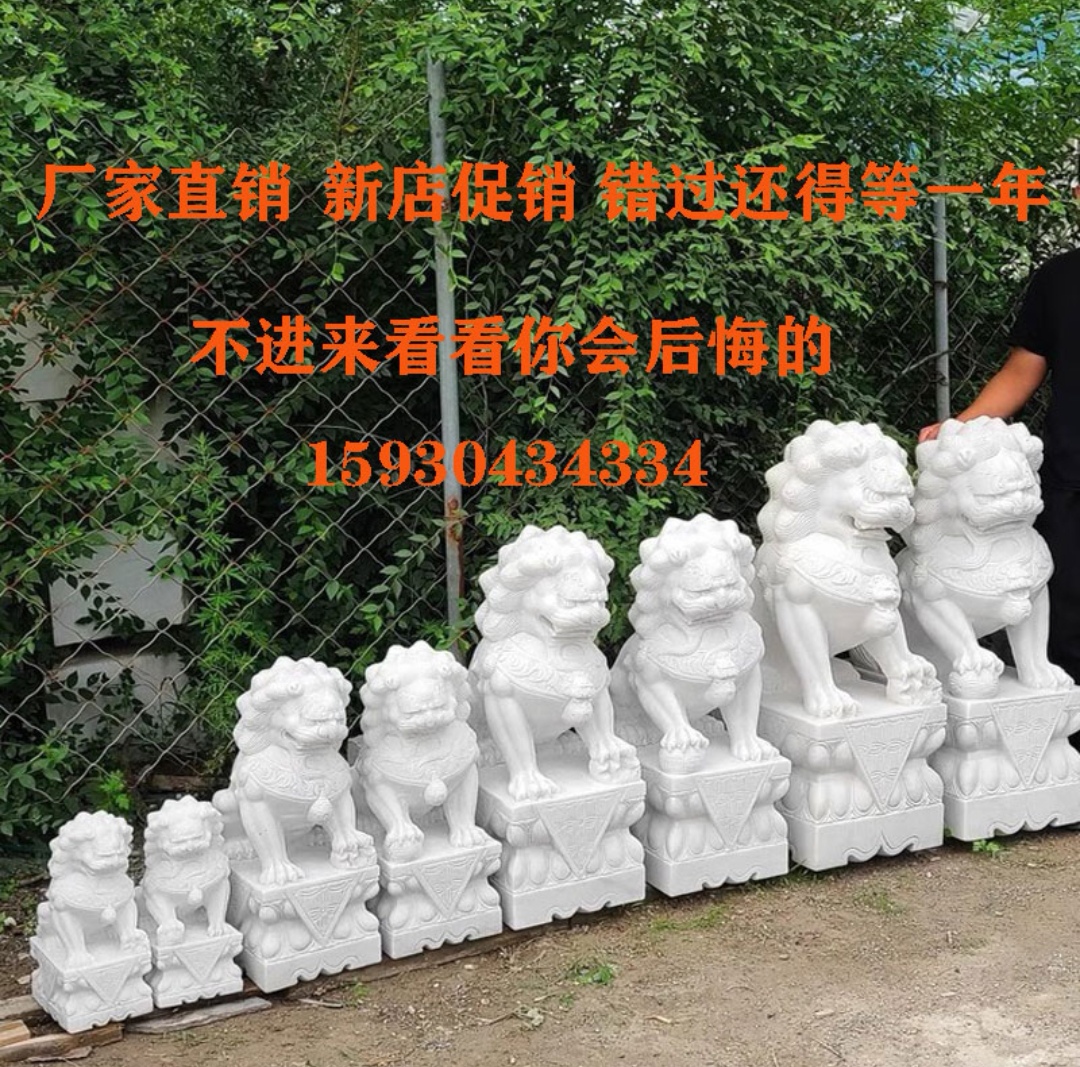 汉白玉石狮子一对石雕狮子看门镇宅家用门口别墅小区祠堂墓地摆件