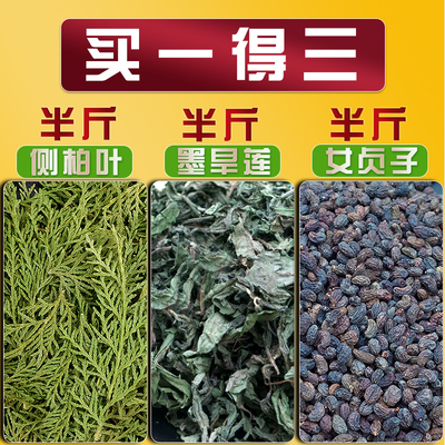 墨旱莲女贞子侧柏叶买一得三