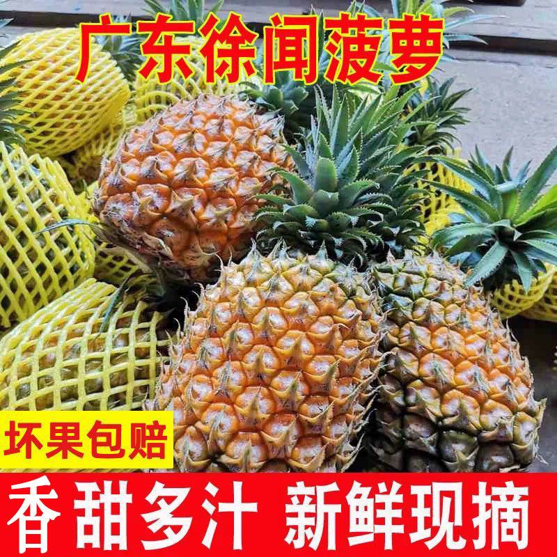 徐闻菠萝新鲜水果10斤5斤大果甜包邮香水小 菠萝应当季非凤梨整箱