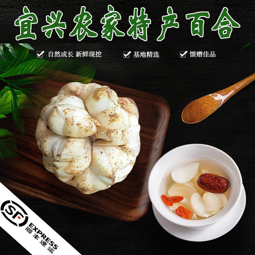 2025新鲜百合宜兴鲜百合特产3-5只左右/斤微苦宜兴百合产地发货