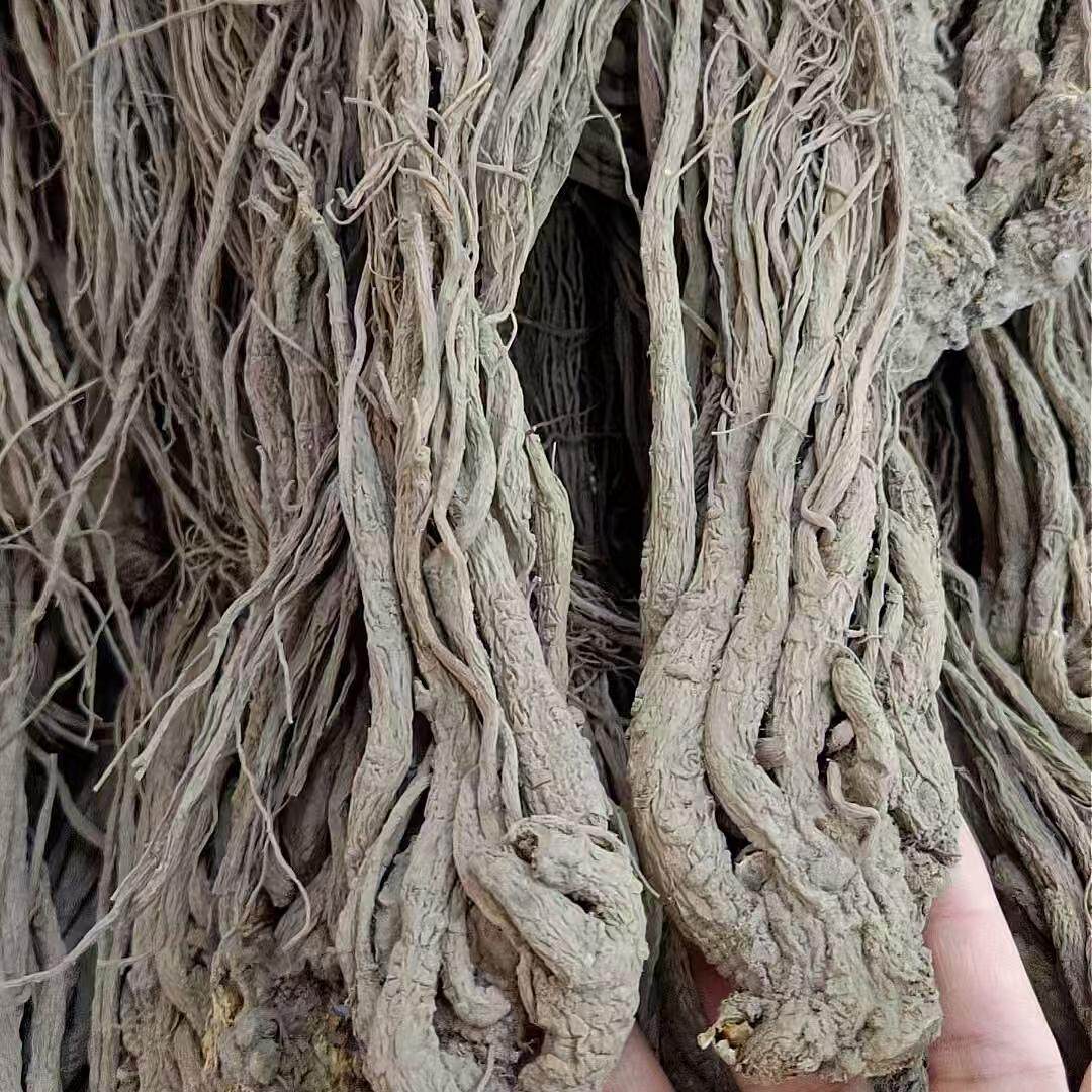 甘肃岷县无熏硫正品当归须当归药当归当归头当归片整颗野生当归
