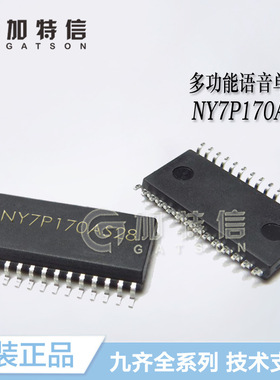 NY7P170AS28 SOP28 全新原装Nyquest/九齐 多功能语音单片机MCU