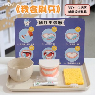 蒙氏教具精细动作训练早教玩具生活区小班材料幼儿园区域刷牙训练