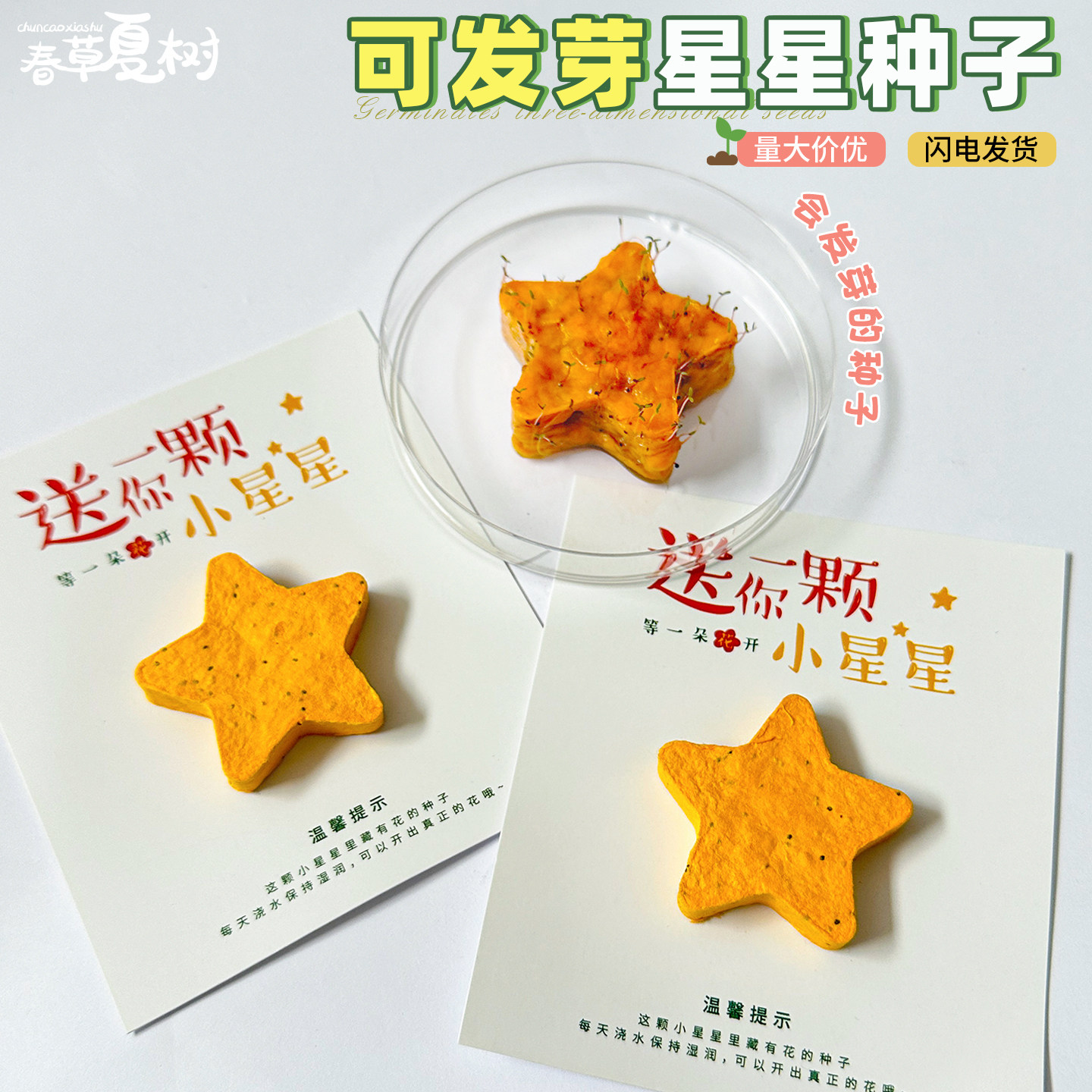 可种植立体环保种子纸卡片材料包图片