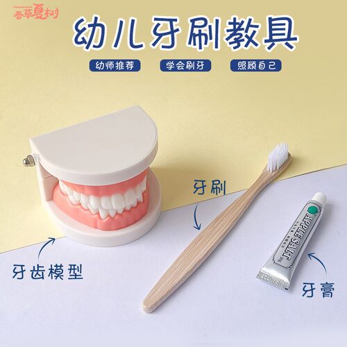 认识牙齿刷牙教具蒙氏日常生活教具幼儿园儿童牙齿假牙模型步骤图