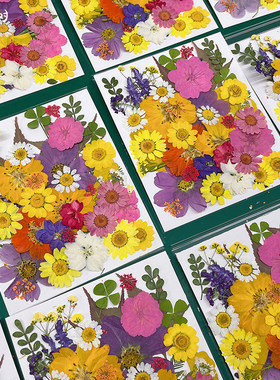 滴胶干花材料手工diy压花书签树叶标本装饰押花植物花瓣团扇真花