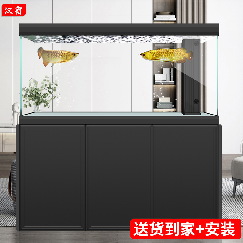 汉霸轻奢大型免换水客厅鱼