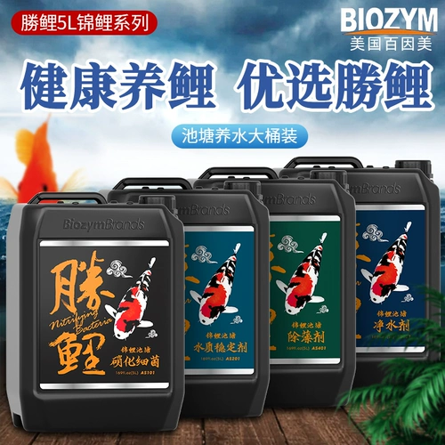 Бейлин рыб пруд, водоросли, нитрифицирующие бактерии, карп кои, азот золотой рыбки, нитрифицирующий бактериальный азот, азот, нитрифицирующие бактерии