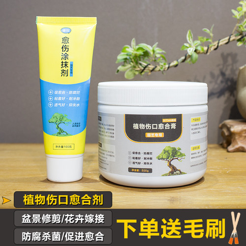 植物愈合剂盆景修剪扦插专用伤口愈伤膏树木桩口封口涂补剂涂膜剂