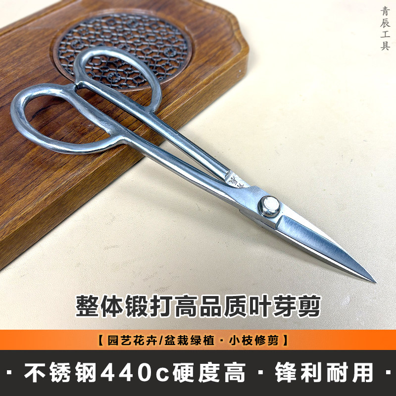 青辰高端不锈钢叶芽剪