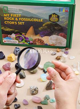 天然水晶原石套盒半宝石矿标玛瑙晶洞鲨鱼牙科普教学礼物