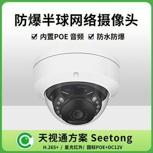 Seetong天视通防爆网络摄像头4/500万高清室内外防水音频半球监控