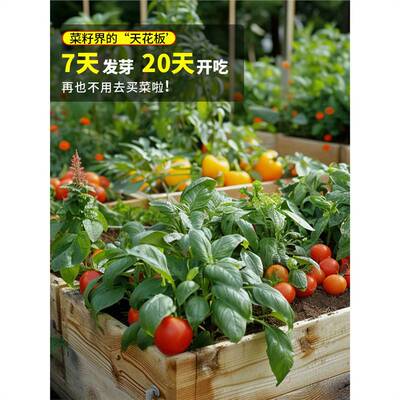 small model toy， Raw pineapple, radish, and scallions are