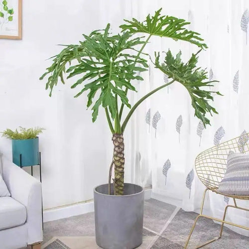 SpringFeatherLargePotDrag