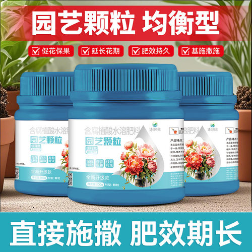 AishangkeHorticulturalPlant