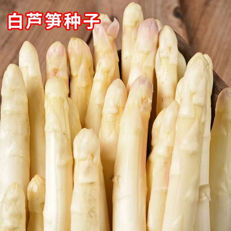 White Asparagus High Nutrient Seeds Four Seasons Vegetables