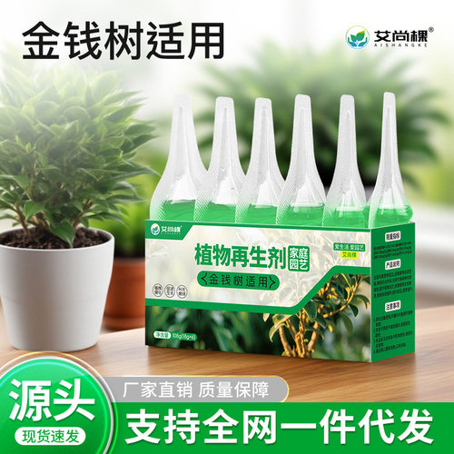 AishanggePlantMoneyTreeRe
