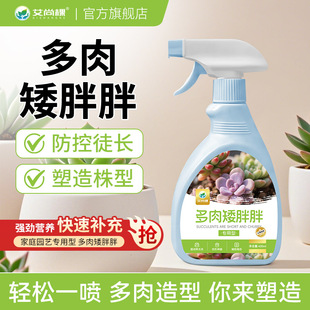 Aishangke succulent meat, short and chubby pot, small pot f