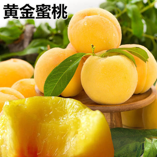 New Yellow Peach Seedlings, Flat Peach Seedlings, Honey Pea