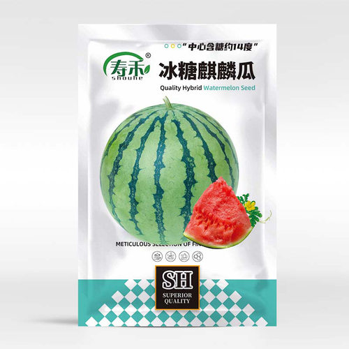 Ice Sugar Kirin 8424 Sweet King Early Spring Red Jade Black
