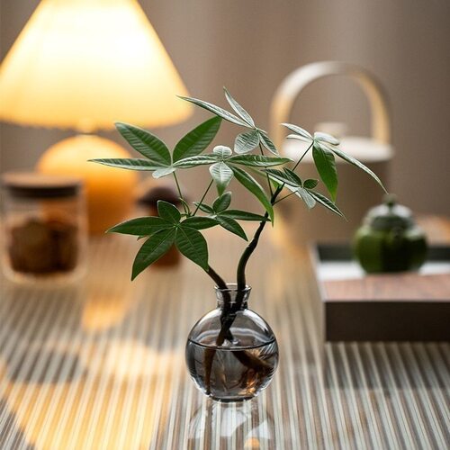 NewPlantWealthTreeOffice