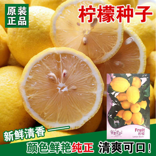 Taiwan refreshing lime, lemon balcony basin, fruits and veg