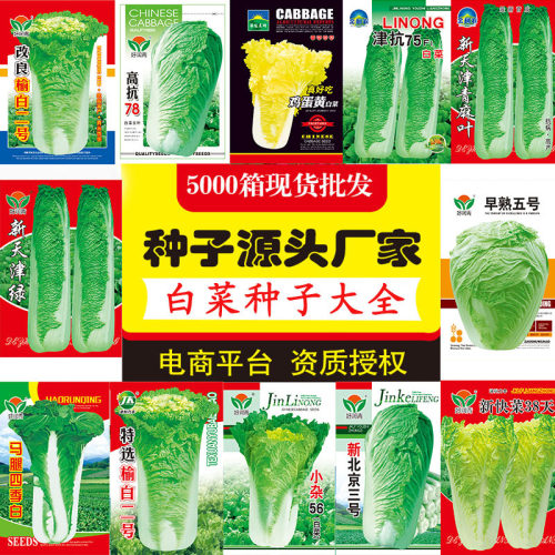 Chinese cabbage, baby bok choy, cabbage, egg yolk, fire pho