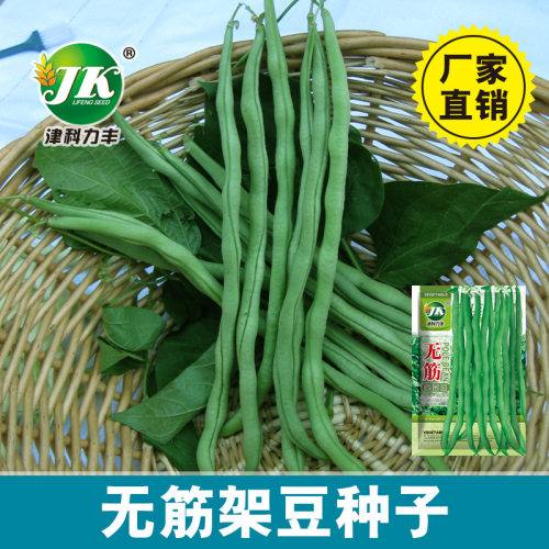 Stretching free and silk free Thai beans, original 50g kidn