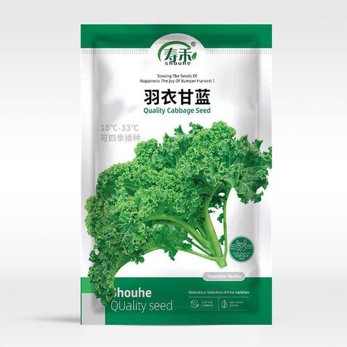 New Kale Sprouts Eating Season Purple Vegetable Pot Sprouts