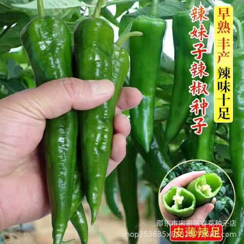 Spicy girl, super spicy green pepper, red pepper, dried pep